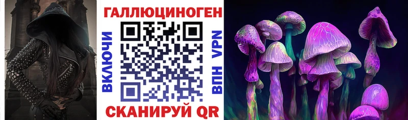купить наркоту  Верхоянск  Галлюциногенные грибы Cubensis 